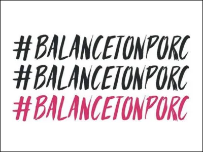 Société : quelle affaire est à l'origine du mouvement "Balance ton porc" qui a vu le jour en octobre 2017 ?