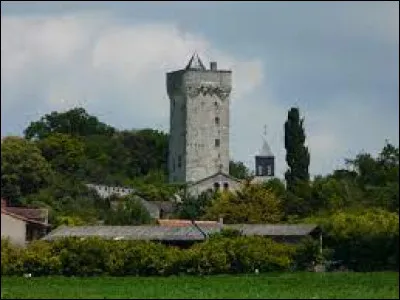 Vous avez sur cette image le donjon et à sa droite le clocher de l'église Sainte-Catherine, à Curçay-sur-Dive. Village de l'arrondissement de Châtellerault, il se situe dans le département ...