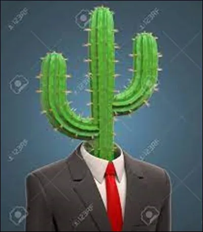 1982, David M. Grundman joue dans le désert, à la sortie de Phoenix, (Arizona) en tirant avec son fusil sur un cactus Saguaro géant. 
Que lui arrive-t-il ?