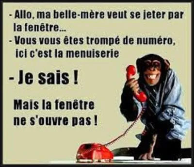 En 1993, pour défendre son client accusé d'avoir défenestré une personne, l'avocat de Toronto, Garry Hoy, se jeta, lors d'une reconstitution, sur une des fenêtres de l'immeuble concerné. 
Que se passa-t-il ?
