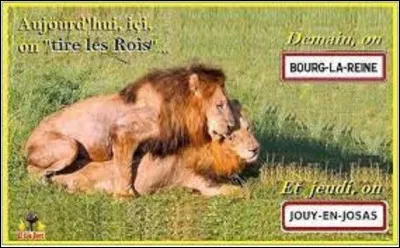 Et on clôt cette série avec cette mort insolite. Le 2 juillet 2005, l'ingénieur américain, Kenneth Pinyan, meurt d'une sodomie extrêmement brutale avec un animal. Lequel ?