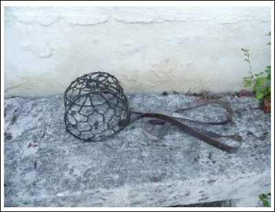 Cette bestiole est appelée "moureau" (ou "moro") et fut d'un usage courant, voire essentiel : à quoi donc ?