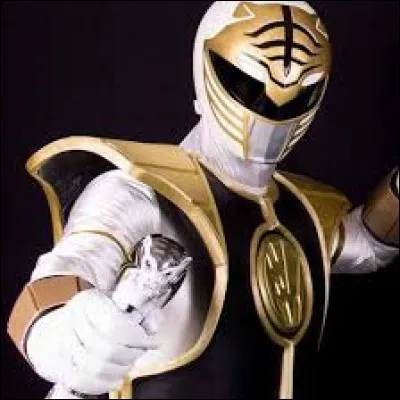 Quelle était la couleur du Power Ranger Blanc ?