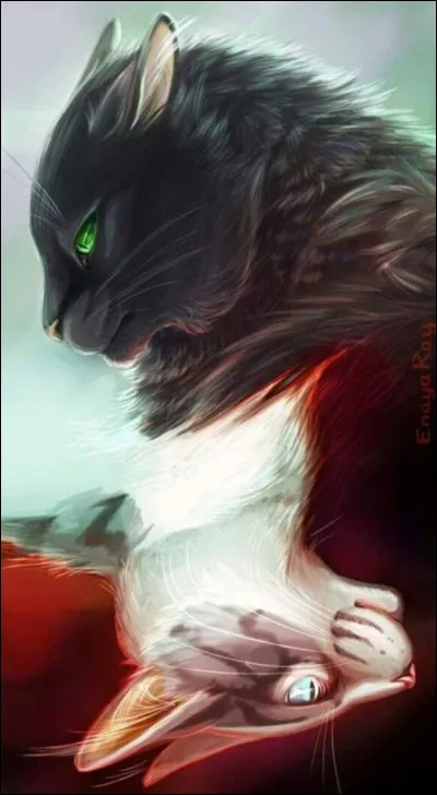 Cycle 2 : quel est le premier chef du clan de la Rivière ?