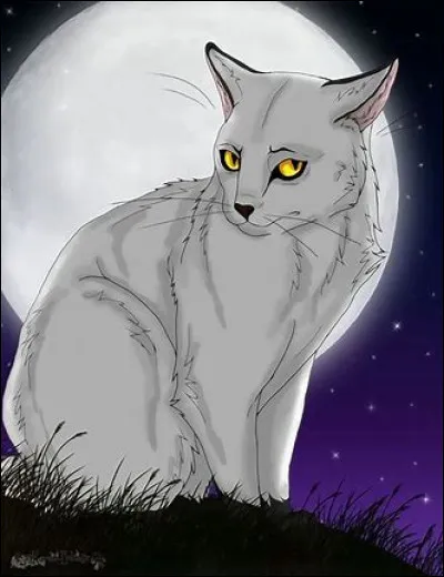 Cycle 1 : 
quel est le deuxième chef du clan de l'Ombre ?