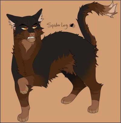 Cycle 1 : quel est le troisième chef du clan de l'Ombre ?