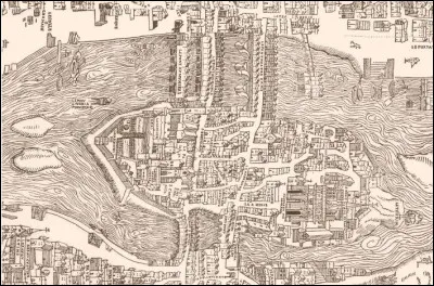 Quelle est cette île de la Seine, considérée comme l'antique berceau de la ville de Paris ?