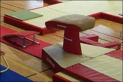 Qu'est-ce que le saut de cheval en gymnastique ?