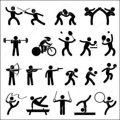 Sport : Quelle compétition sportive est contrainte d'être annulée pour l'édition 2008 du fait de menaces terroristes trop élevées ?