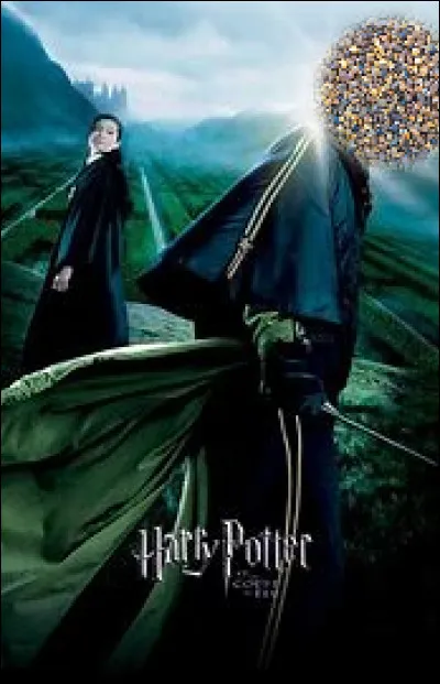 Qui est cette personne ?