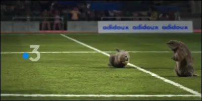 C'est vrai qu'on vient de jouer contre une équipe qui sont vraiment très forts !