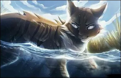 Puis, une nuit, il rencontre un chat de clan. Qui est-ce ?