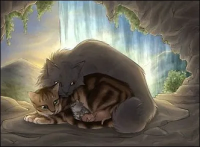 Qui est son mentor ?