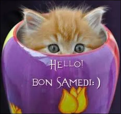 Comment dit-on "samedi" en anglais ?