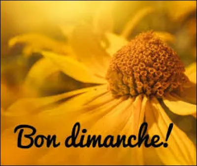 Comment dit-on "dimanche" en anglais ?