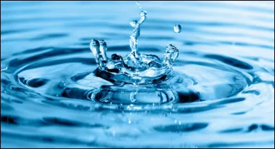 Les chats aiment-ils l'eau ?