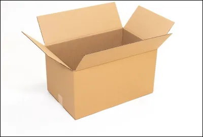 Pourquoi les chats aiment-ils les cartons ?