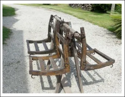 Dans un autre genre : que sont-ce ?