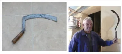 Il s'agit de faucilles, certes, et même si elles n'ont pas la même forme, elles avaient toutes deux le même usage : lequel ?