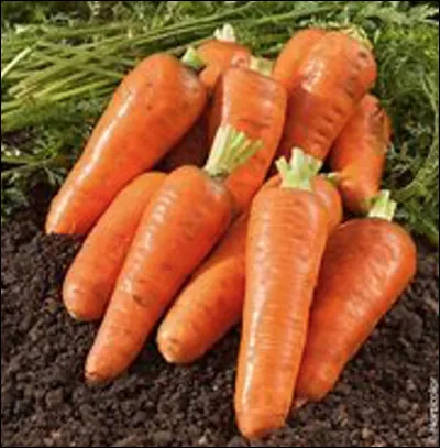 Manger des carottes rend aimable