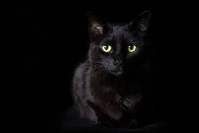 Quelle est cette couleur ?