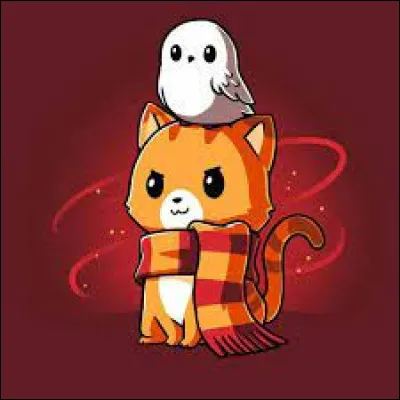 Quelle est la couleur dominante ?