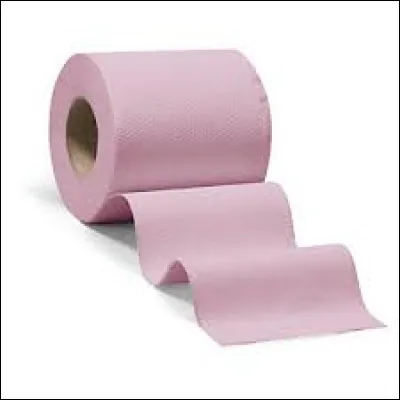 Quel pays est le plus gros consommateur de papier-toilette ?