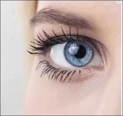 Qui chante "Plus bleu que tes yeux" ?