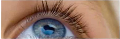 D'après une chanson de Céline Dion, selon elle, où sont les yeux ?