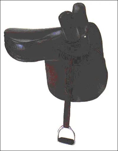 Comment se nomme cette selle ?