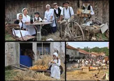 Je vous propose de terminer notre petite promenade dans le village 1900, à Xaronval. Village lorrain, entre Charmes et Mirecourt, il se situe dans le département ...