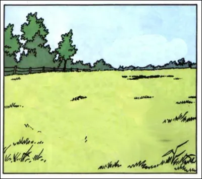 Paysage bucolique, mais est-ce vraiment le cas ?