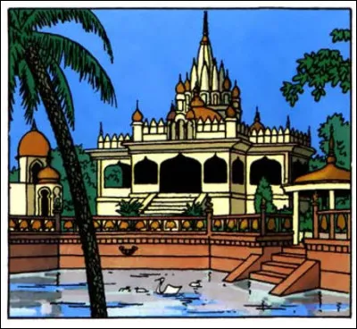 Une image authentique ! Elle se trouve dans ... (Complétez !)