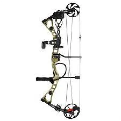 Quel est le nom de cet arc ?