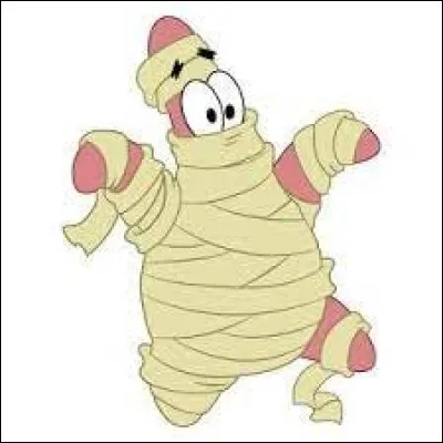 Qui est cette étoile de mer habillée en momie ?