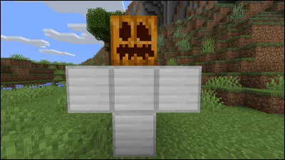 Lequel de ces golems n'existe pas ?