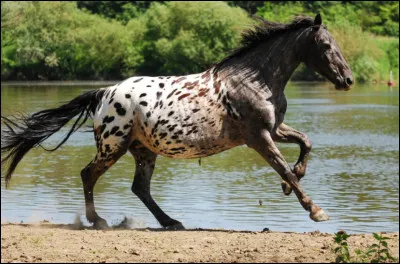 Qu'a cr&eacute;&eacute; Claude Thompson ?