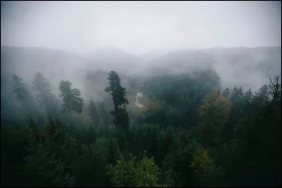 Située en Allemagne, ses sapins sombres, ses lacs cachés et ses villages de contes de fées ont inspiré les légendes des frères Grimm.
