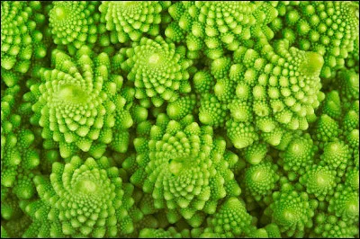 Une île dans un lac dans une île dans un lac dans une île c'est :