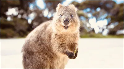 Quelle est la capitale de l�Australie ?