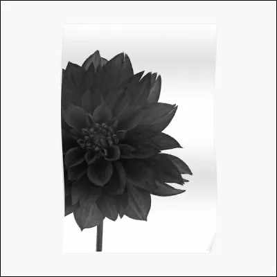 Qui est l'auteur du roman "Le Dahlia noir" en 1987 ?