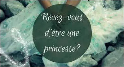 Voudrais-tu être une princesse ?