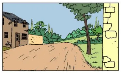 Ce dessin (retouché !) est-il dans les aventures de Tintin dessinées par Hergé ?