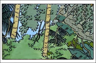 Retournons en forêt : oui, mais laquelle, une fois expurgée de ses personnages ?