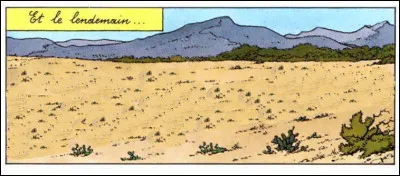 Retour dans la nature, quelque peu désertique. (On y a ôté les "éléments de civilisation"). Dans quelles aventures ?