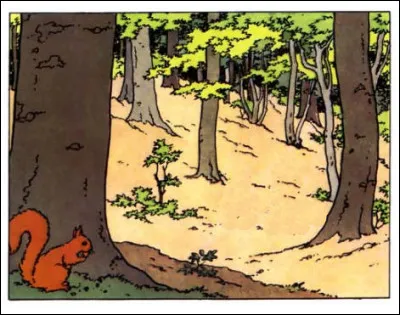 Une nature un peu plus occidentale, cette fois-ci. Où donc ?