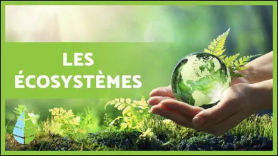 Sciences de la vie et de la terre - Dans un écosystème, nous trouvons :