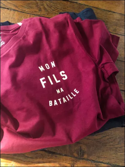 En 1980, qui chantait "Mon fils ma bataille" ?