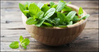 Le Maroc est le principal producteur de thé à la menthe.