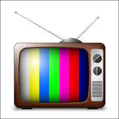Télévision : Laquelle de ces émissions télévisées n'a pas été créée en 1985 ?